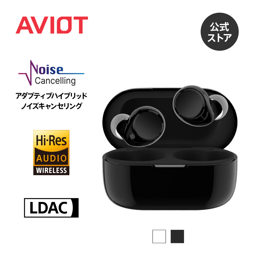 AVIO ワイヤレスイヤホン V1R ブラック AVIOT TE-V1R|ハイブリッド・デュアルドライバー2.0搭載完全