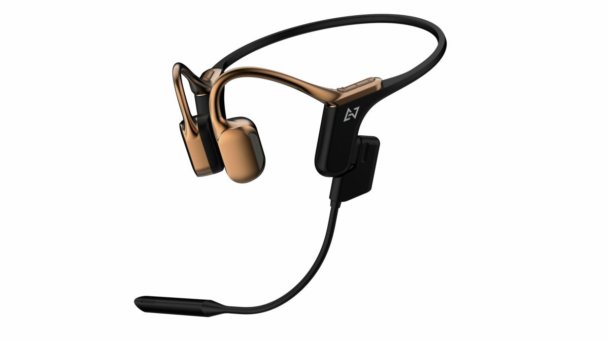 AVIOT WB-E1M 指向性ECMブームマイク同梱モデル PreseedJapan株式会社