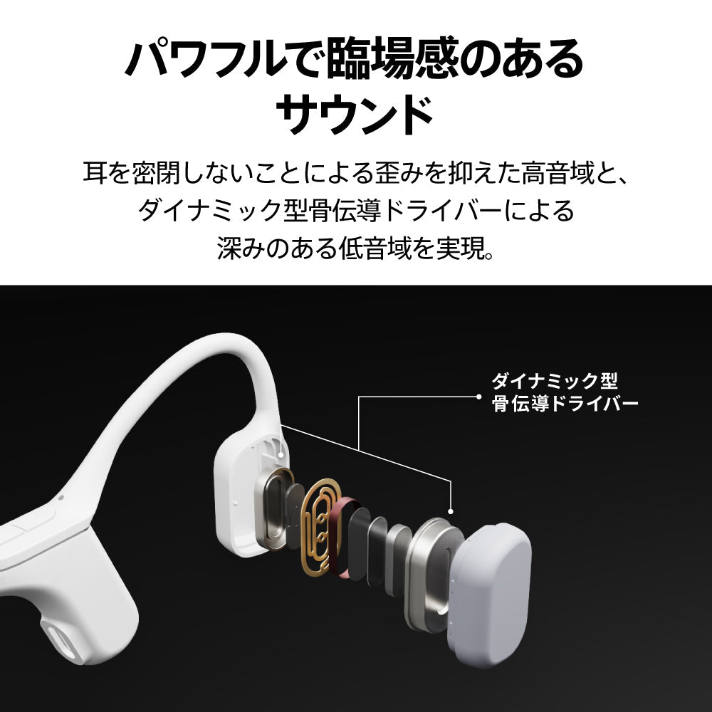 AVIOT WB-P1 PreseedJapan株式会社