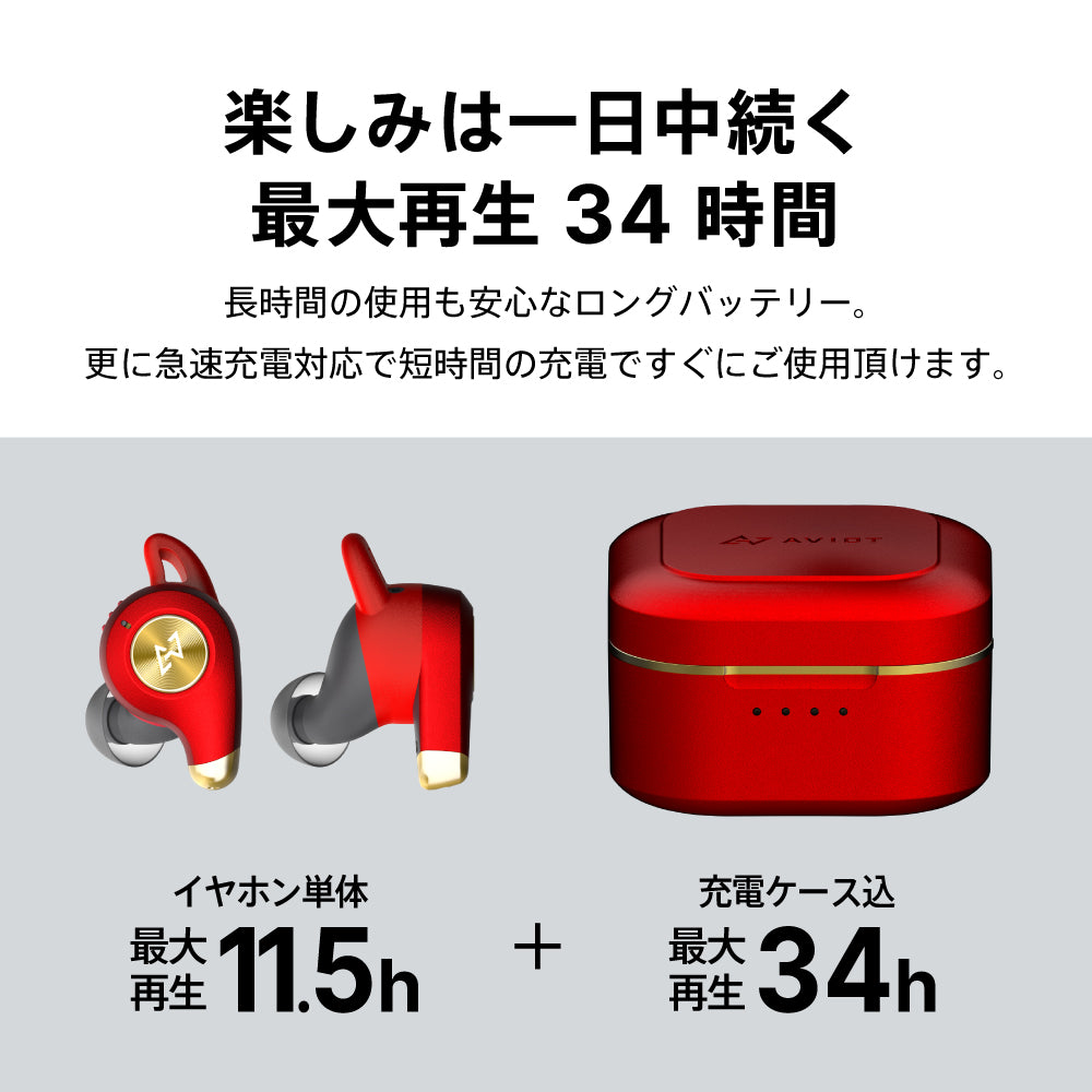 AVIOT TE-D01q2 PreseedJapan株式会社
