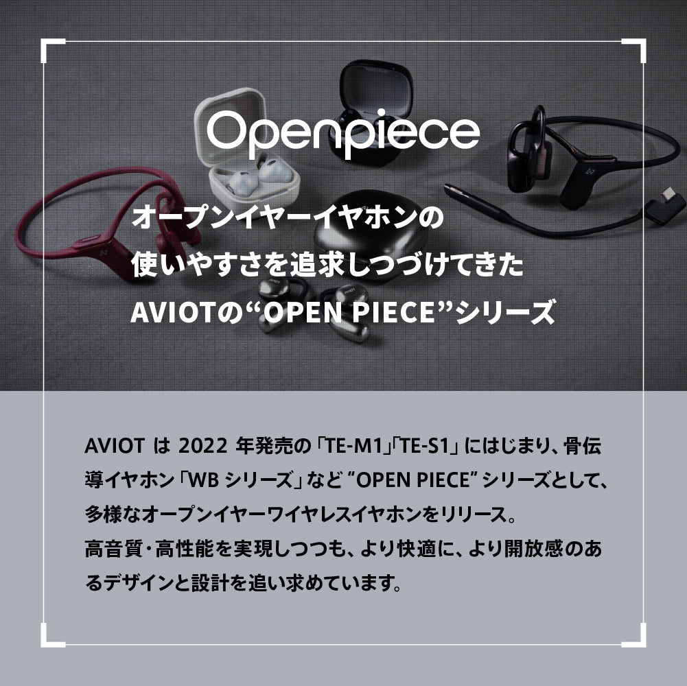 AVIOT TE-H1 PreseedJapan株式会社
