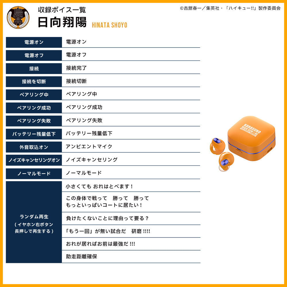【予約】TE-Q3-HK ハイキュー!!コラボモデル|11月中旬以降順次発送