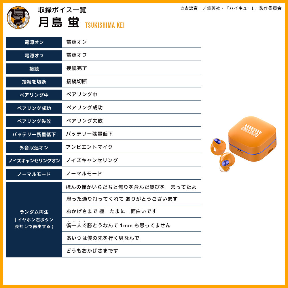 【予約】TE-Q3-HK ハイキュー!!コラボモデル|11月中旬以降順次発送