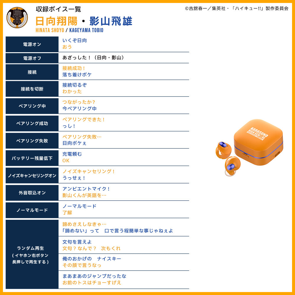 【予約】TE-Q3-HK ハイキュー!!コラボモデル|11月中旬以降順次発送