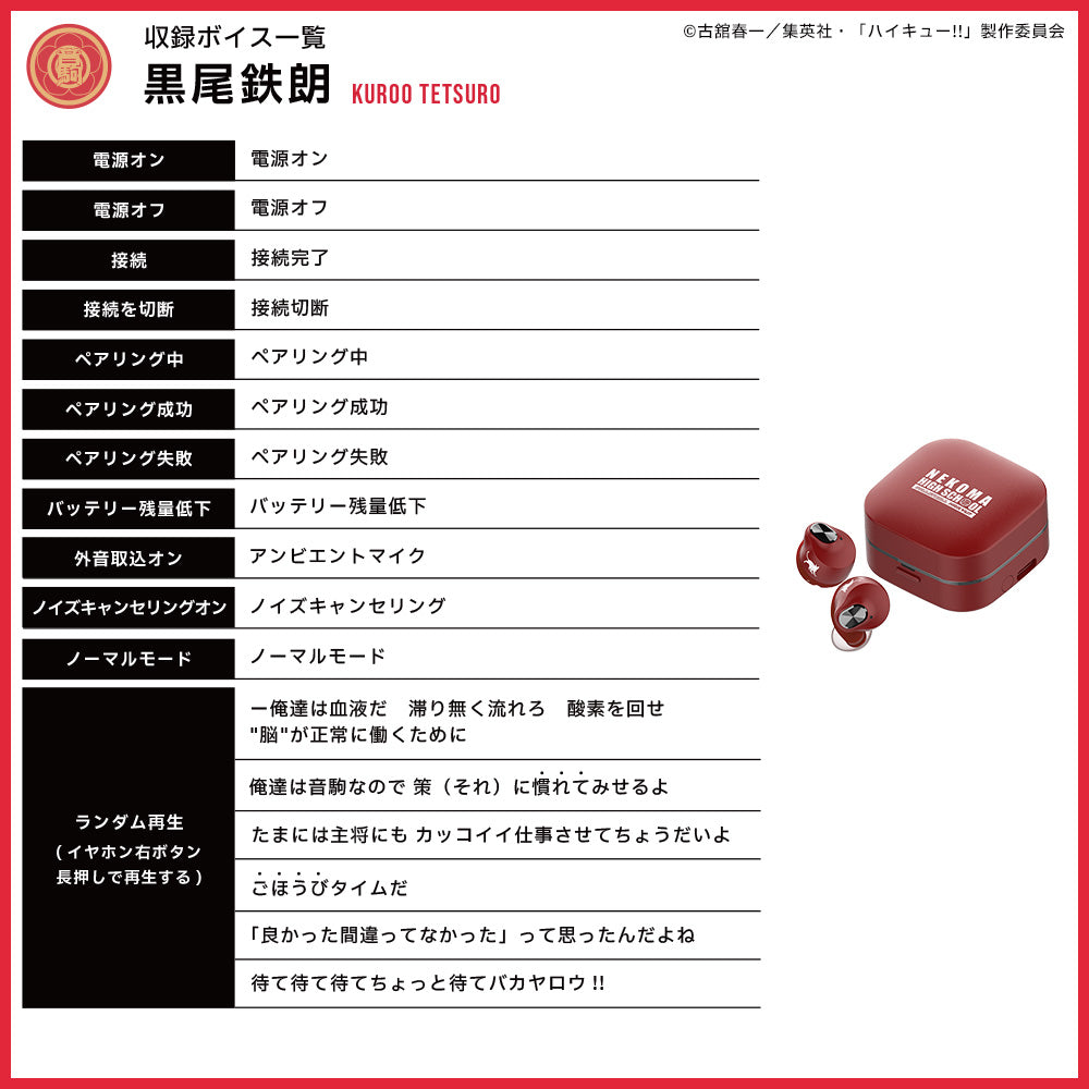 【予約】TE-Q3-HK ハイキュー!!コラボモデル|11月中旬以降順次発送