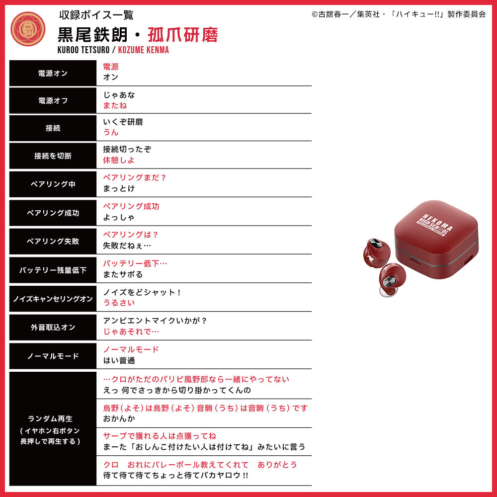【予約】TE-Q3-HK ハイキュー!!コラボモデル|11月中旬以降順次発送