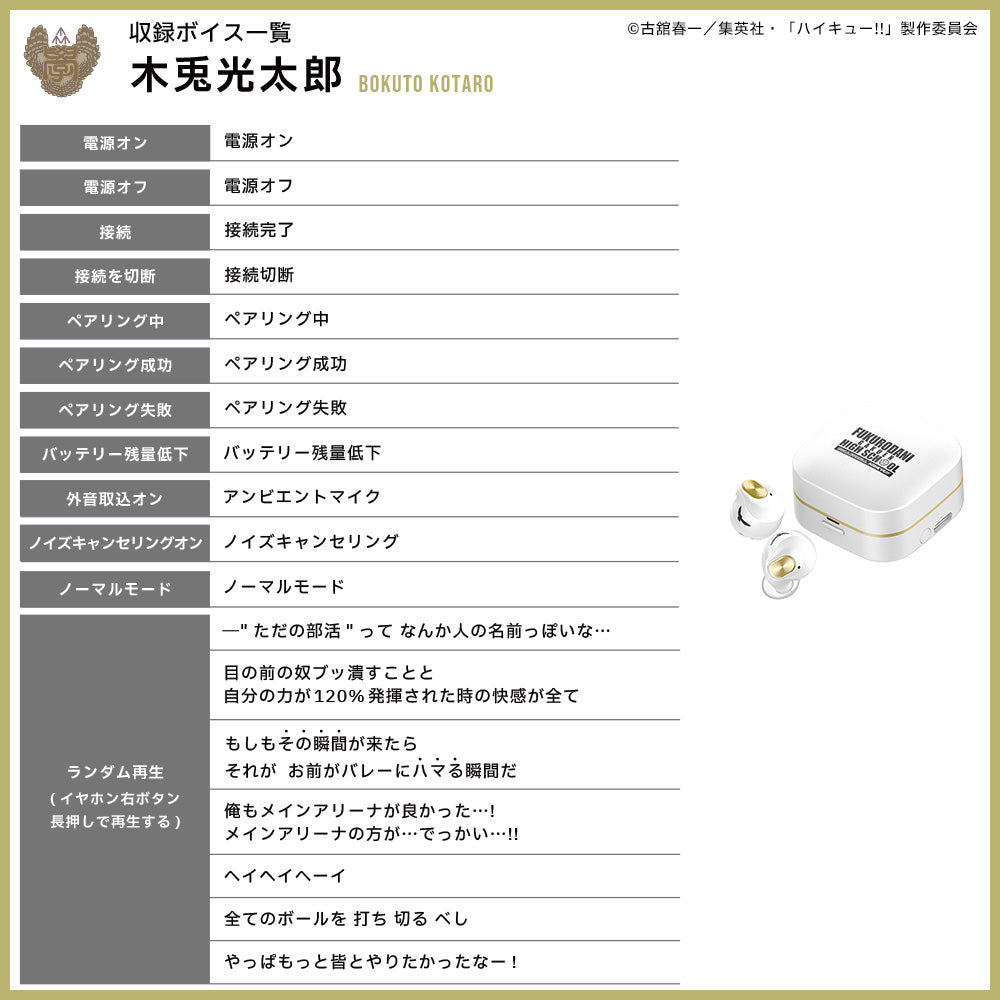 【予約】TE-Q3-HK ハイキュー!!コラボモデル|11月中旬以降順次発送