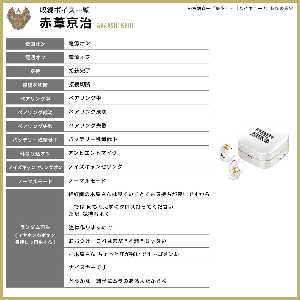 【予約】TE-Q3-HK ハイキュー!!コラボモデル|11月中旬以降順次発送