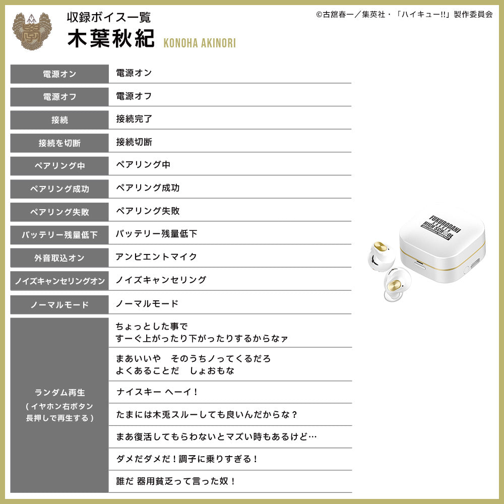 【予約】TE-Q3-HK ハイキュー!!コラボモデル|11月中旬以降順次発送
