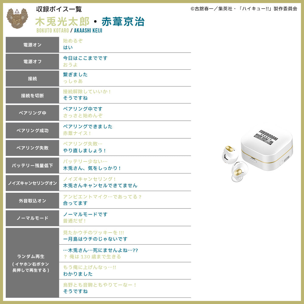【予約】TE-Q3-HK ハイキュー!!コラボモデル|10月下旬以降順次発送
