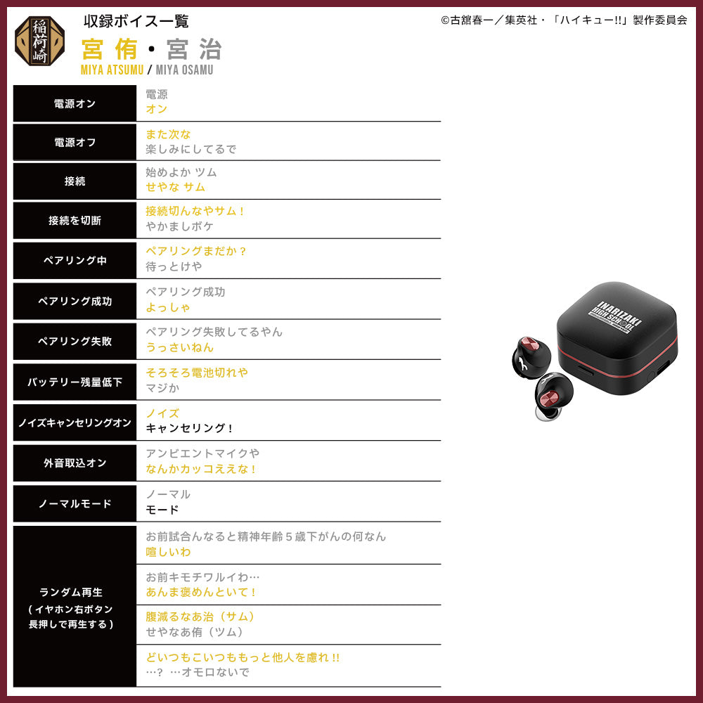 【予約】TE-Q3-HK ハイキュー!!コラボモデル|11月中旬以降順次発送