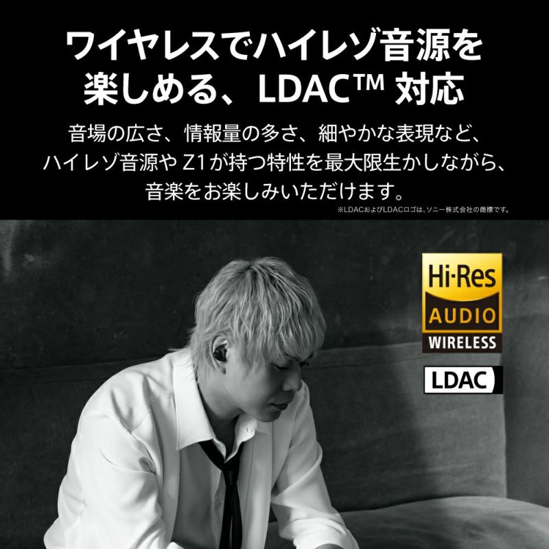 AVIOT TE-Z1PNK PreseedJapan株式会社