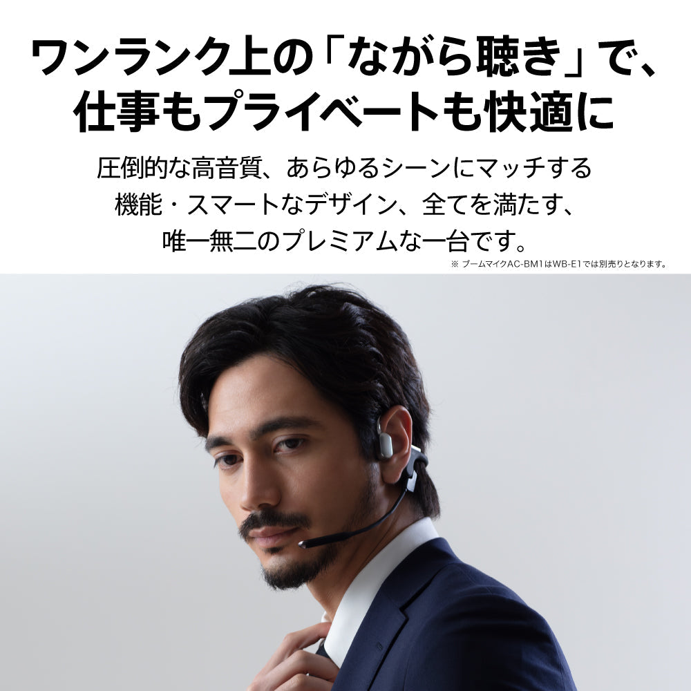 AVIOT WB-E1M 指向性ECMブームマイク同梱モデル PreseedJapan株式会社