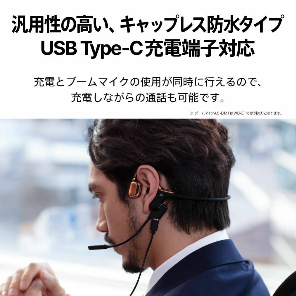 AVIOT WB-E1M 指向性ECMブームマイク同梱モデル PreseedJapan株式会社