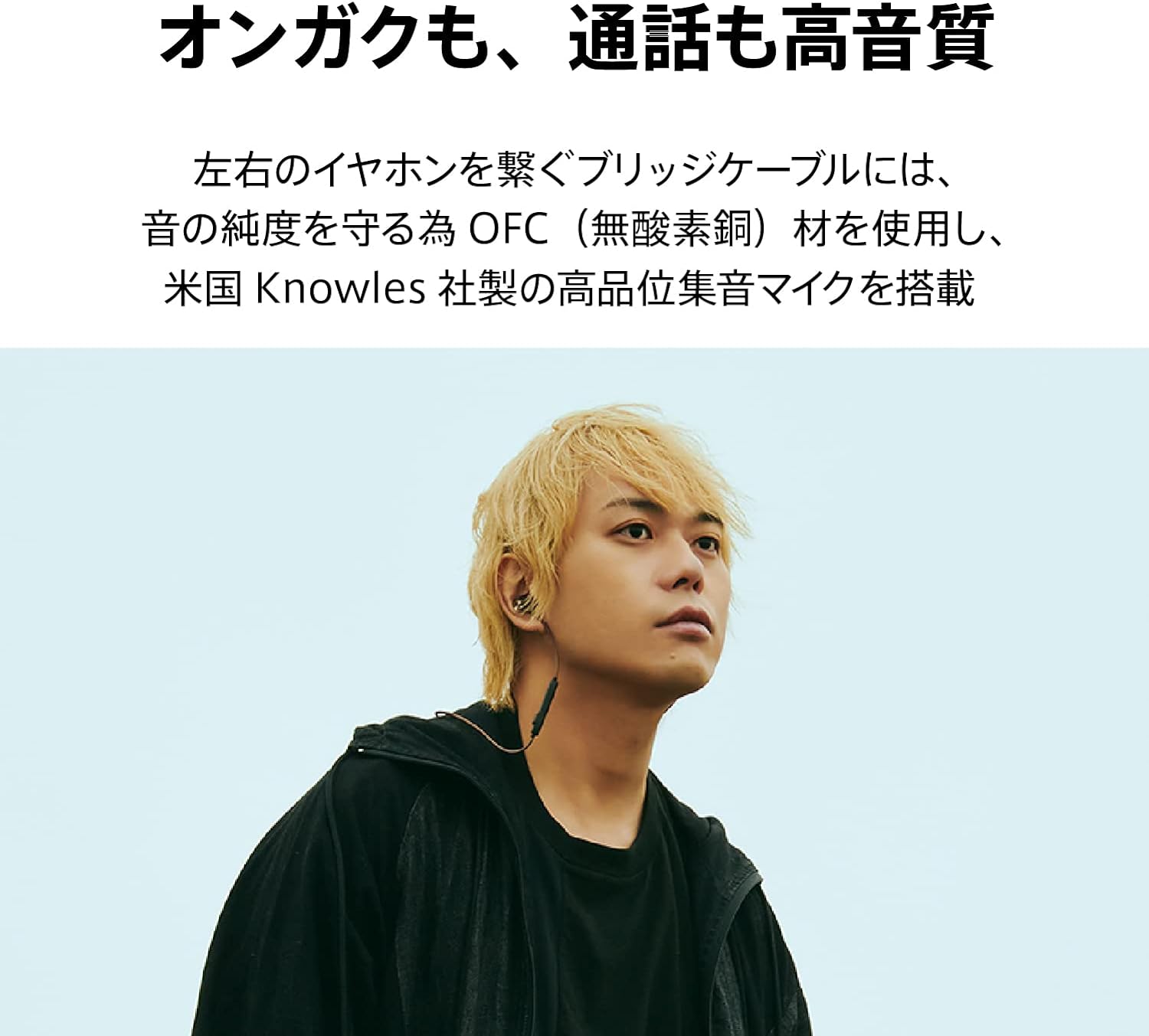 AVIOT WE-BD21d-pnk PreseedJapan株式会社