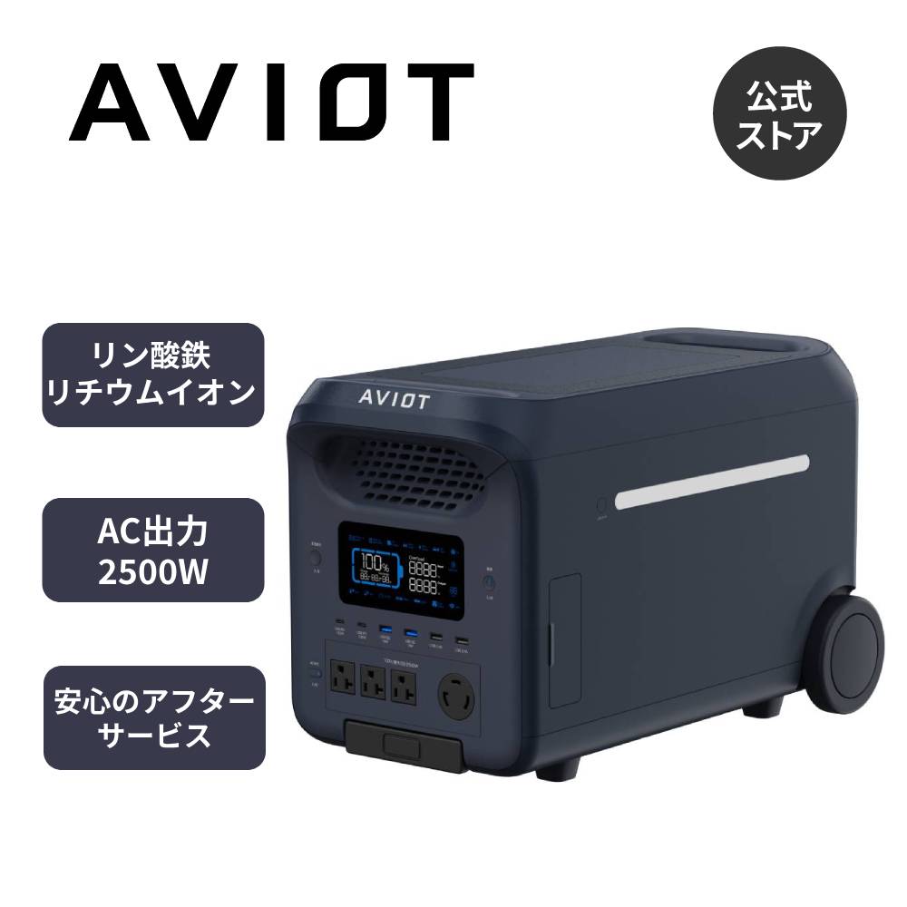 AVIOT PS-EX3000