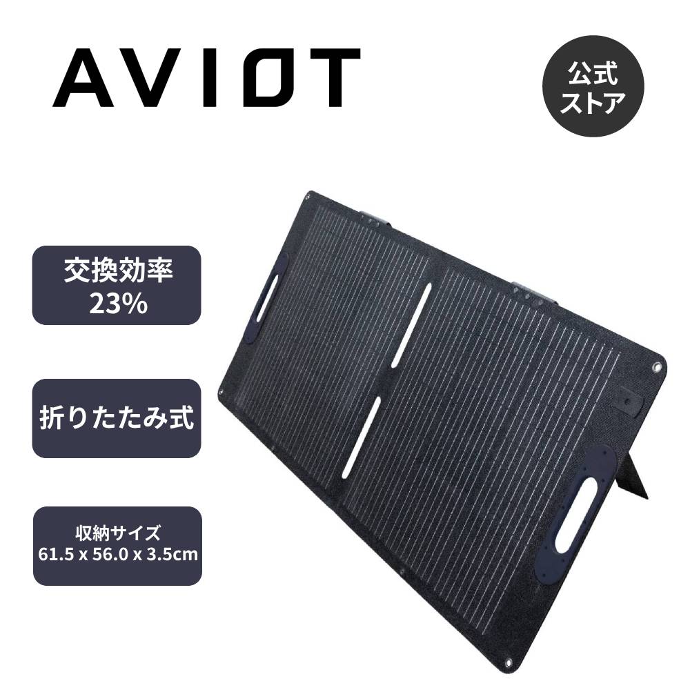 AVIOT PS-SM100