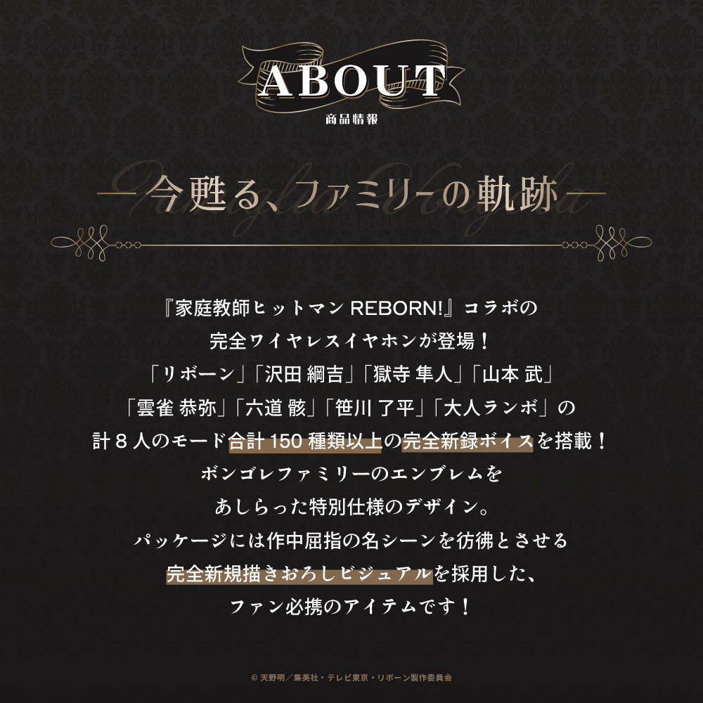 【予約】TE-Q3-RBN 家庭教師ヒットマンREBORN!コラボモデル｜11月下旬以降順次発送