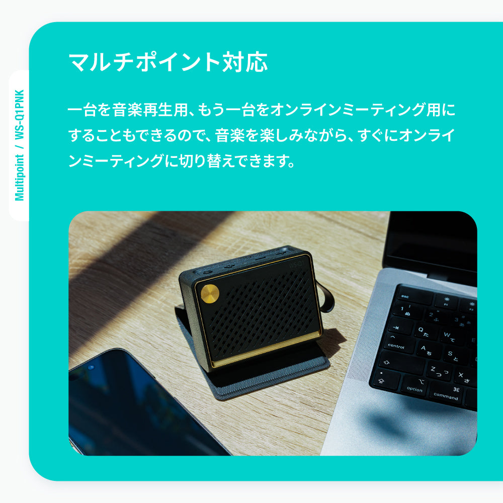 【予約】AVIOT WS-Q1PNK PreseedJapan株式会社